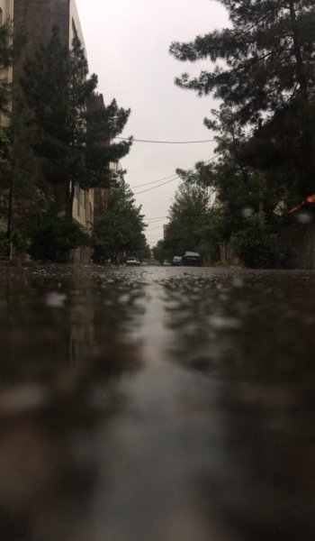  عکس های خام طبیعت