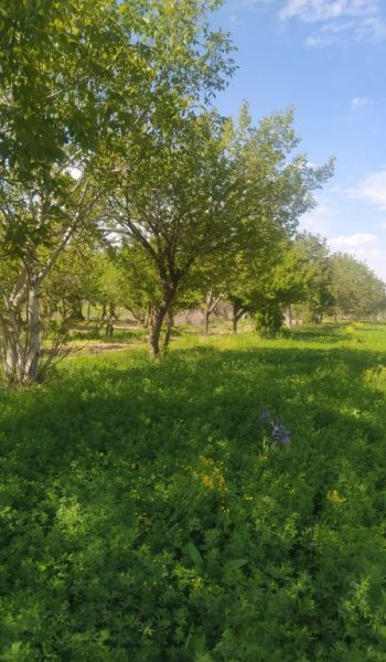  عکس های خام طبیعت