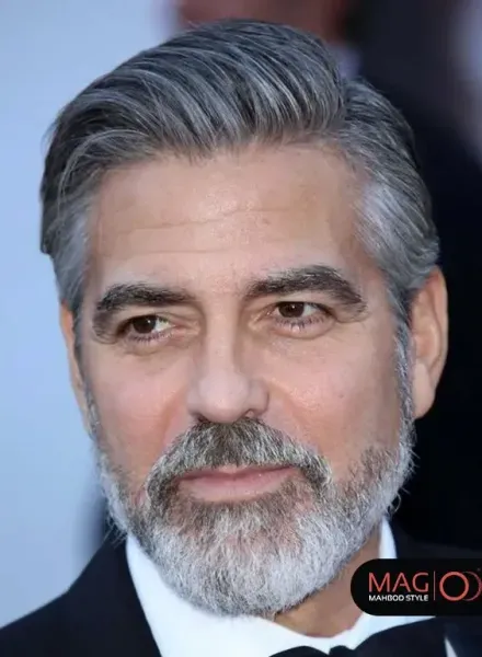  45 عکس مدل ته ریش