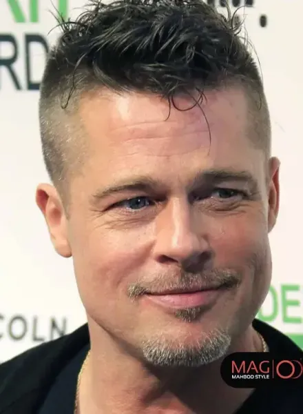  45 عکس مدل ته ریش