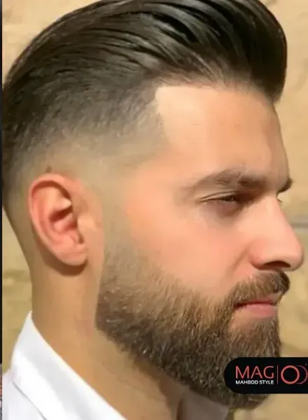  45 عکس مدل ته ریش