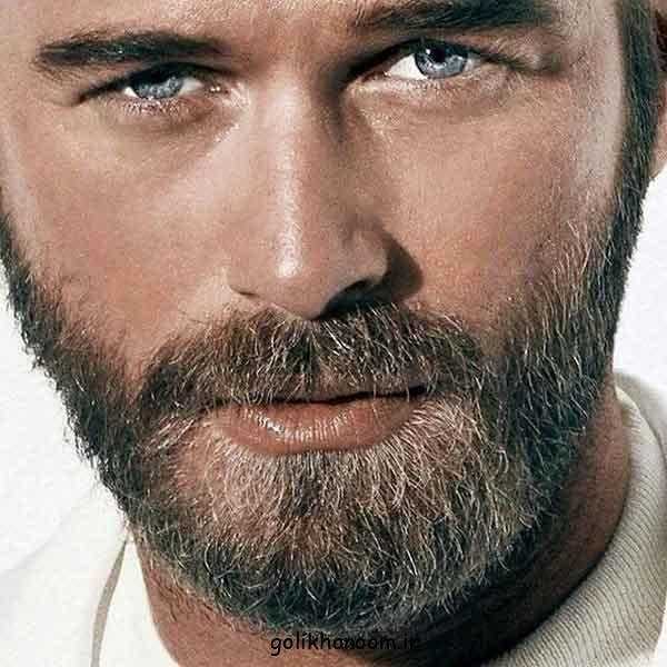 39 عکس مدل ریش ایرانی