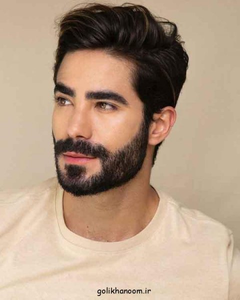  39 عکس مدل ریش ایرانی