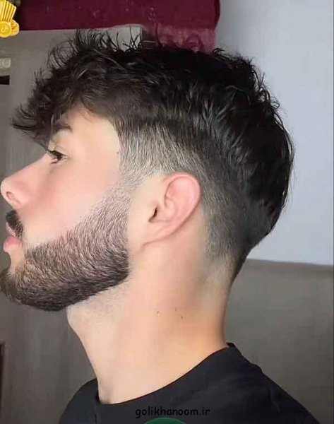  39 عکس مدل ریش ایرانی