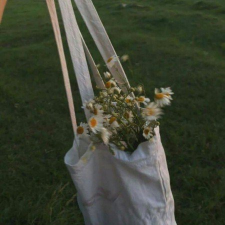  عکس های وایب