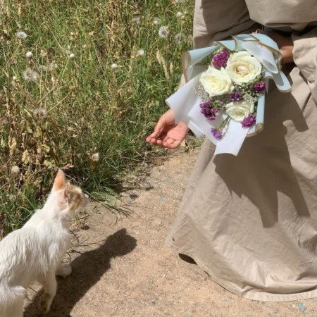  عکس های وایب