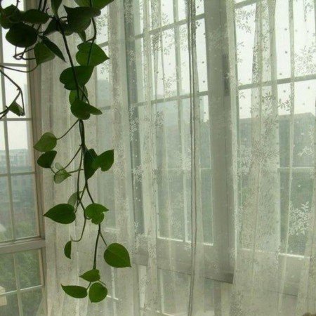  عکس های وایب