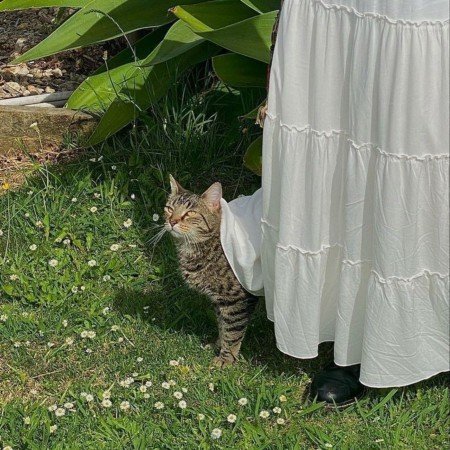  عکس های وایب