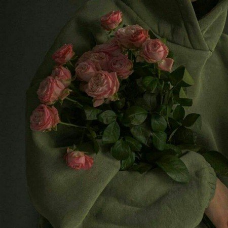  عکس های وایب