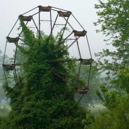  عکس های وایب