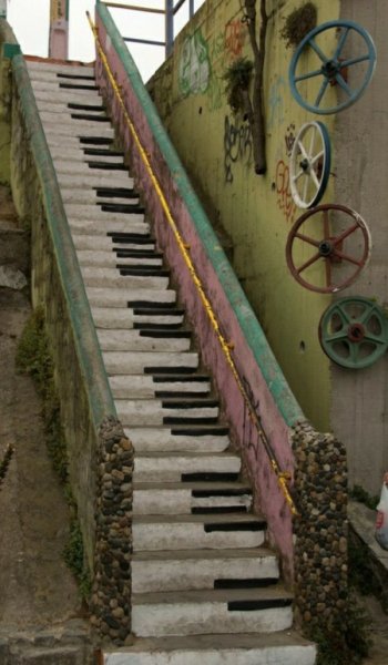  عکس های وایب