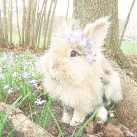  عکس های وایب