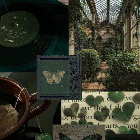  عکس های وایب