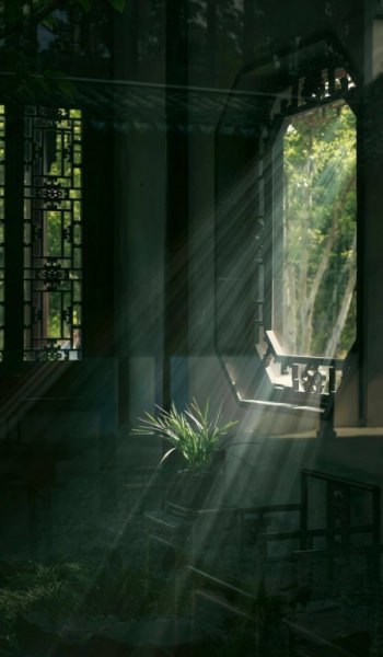  عکس های عکاسی