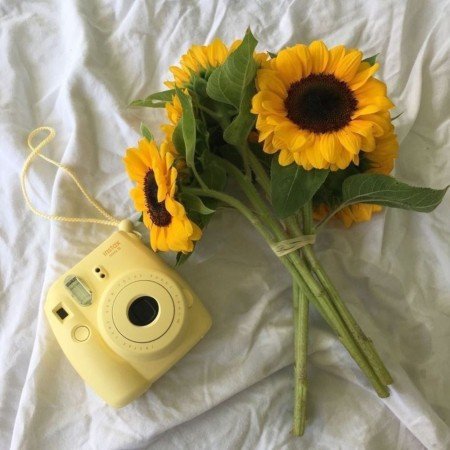  عکس های عکاسی