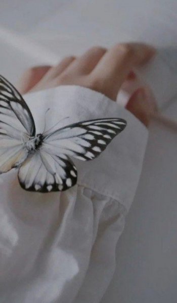  عکس های عکاسی