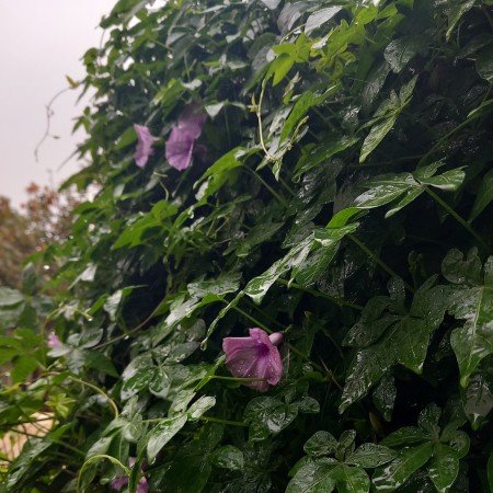  عکس های عکاسی