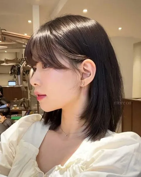  30 عکس چتری پرده ای کره ای