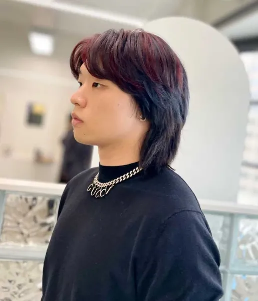  30 عکس چتری پرده ای کره ای