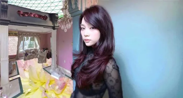  30 عکس چتری پرده ای کره ای