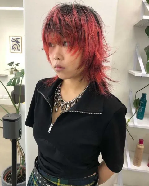  30 عکس چتری پرده ای کره ای