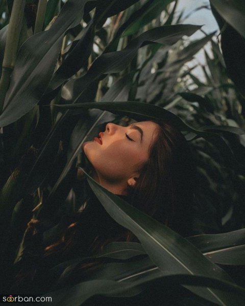  80 مدل عکس در جنگل