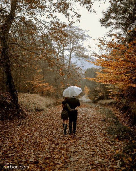  80 مدل عکس در جنگل