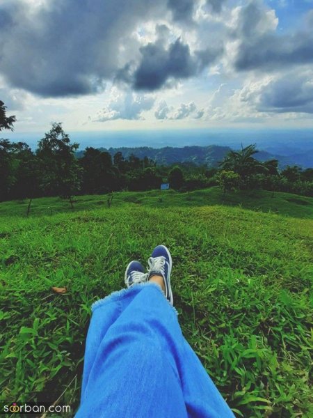  80 مدل عکس در جنگل