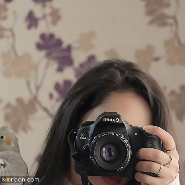  80 مدل عکس در جنگل