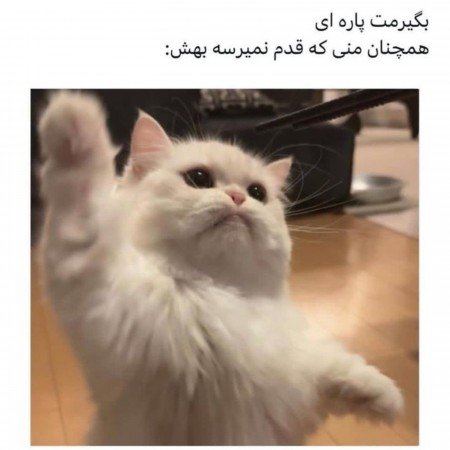  عکس با پارتنر بدون چهره