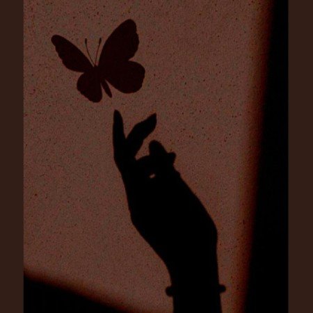  عکس دست دونفره لاکچری