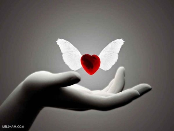  عکس دست تکی