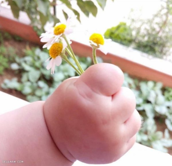  عکس دست تکی