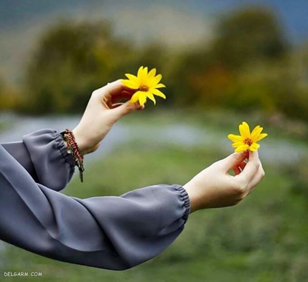  عکس دست تکی