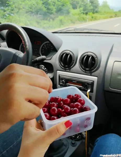  عکس دست دونفره طبیعی تو ماشین