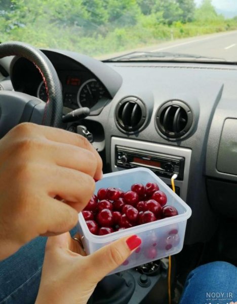  عکس دست دونفره طبیعی تو ماشین پژو پارس