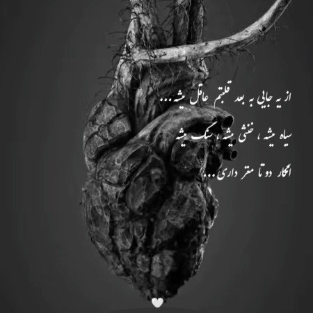  عکس های مغز