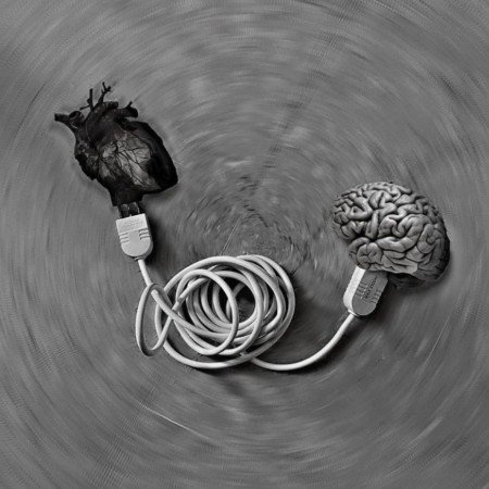  عکس های مغز