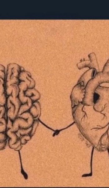  عکس های مغز