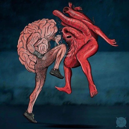  عکس های مغز