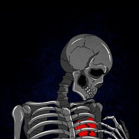  عکس های مغز