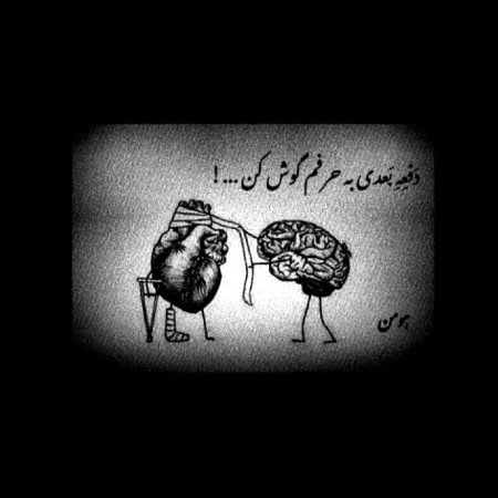  عکس های مغز