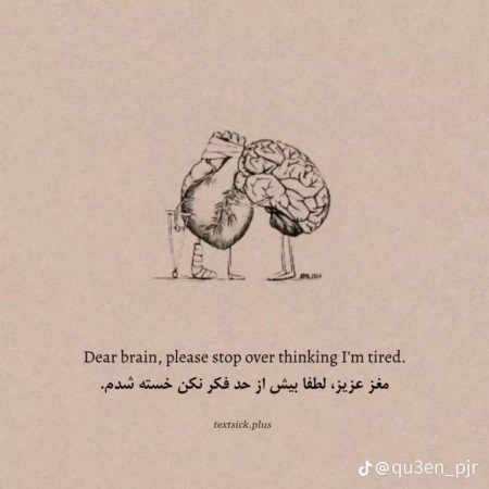  عکس های مغز