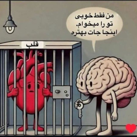  عکس های مغز