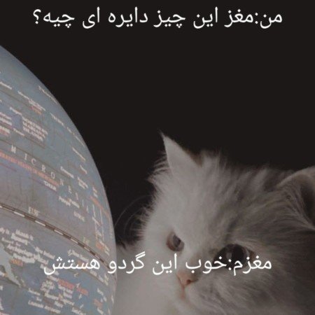  عکس های مغز