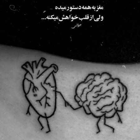  عکس های مغز