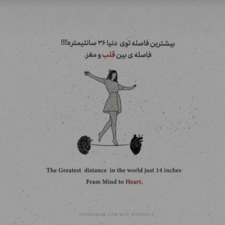  عکس های مغز