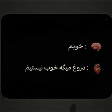  عکس های مغز