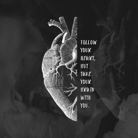  عکس های مغز