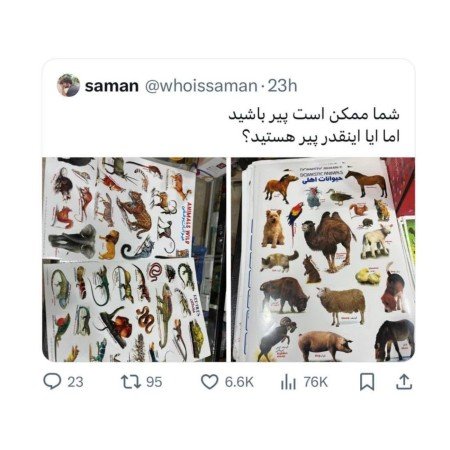  عکس های مغز